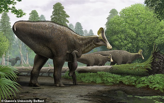 Hadrosaurs are a large family of giant plant-eating dinosaurs - including at least 61 identified, individual species with perhaps hundreds of unique species that roamed the Earth, according to experts.  The hadrosaurs above are an artist's reconstruction of a Russian find